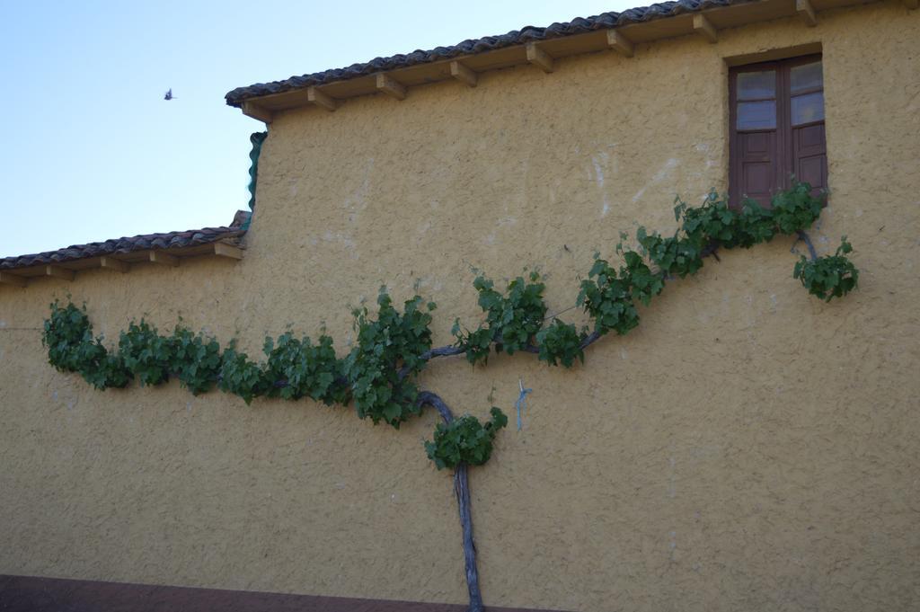 Casa Rural Los Llaganos Villaturiel Buitenkant foto